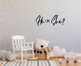 Gender Reveal Signage