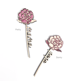 Carnation Everlasting Flower