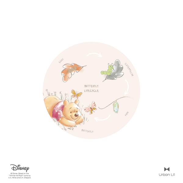 Winnie the Pooh Butterfly Lifecycle Educational Fabric Decal