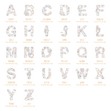 Fleur Alphabet Birth Poster - Urban Li'l