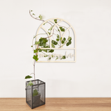 Dome Window Trellis