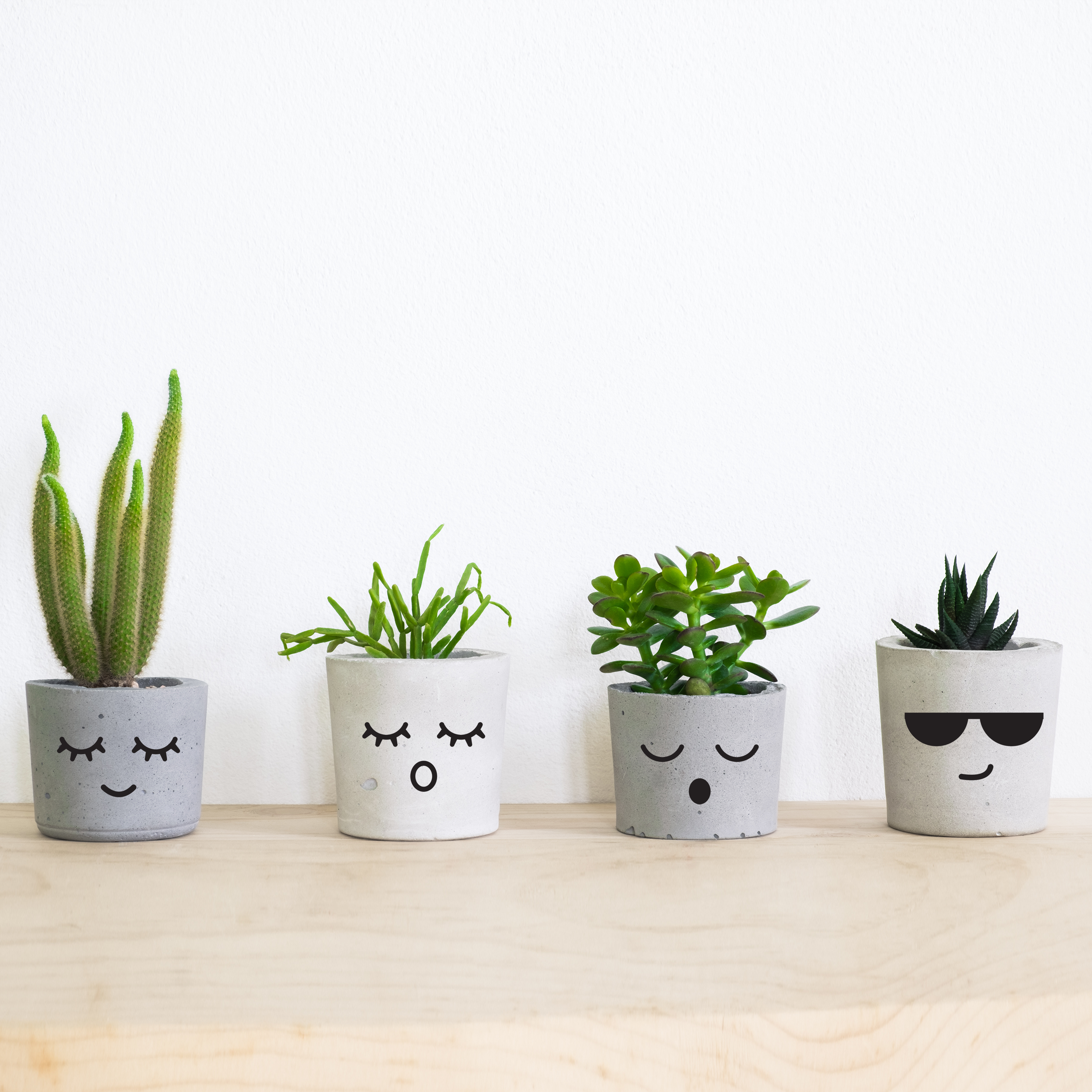 face stickers for plant pots Faces Plant Pot Decal