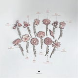 Be & Bloom Everlasting Birth Flower