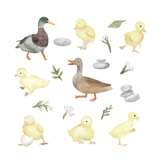 Waddle Waddle Fabric Decal