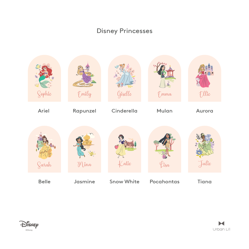 Disney Princess Dome Fabric Decal
