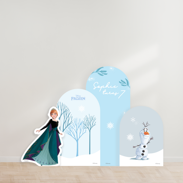 Disney Frozen Party Backdrop Boards