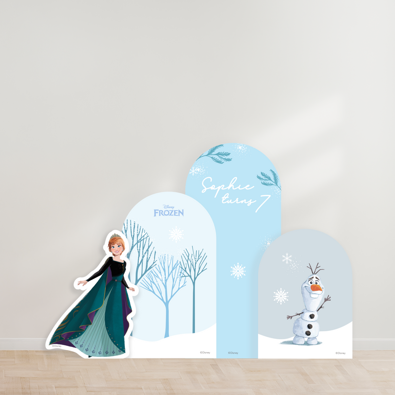 Disney Frozen Party Backdrop Boards