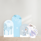 Disney Frozen Party Backdrop Boards