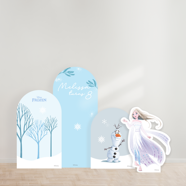 Disney Frozen Party Backdrop Boards