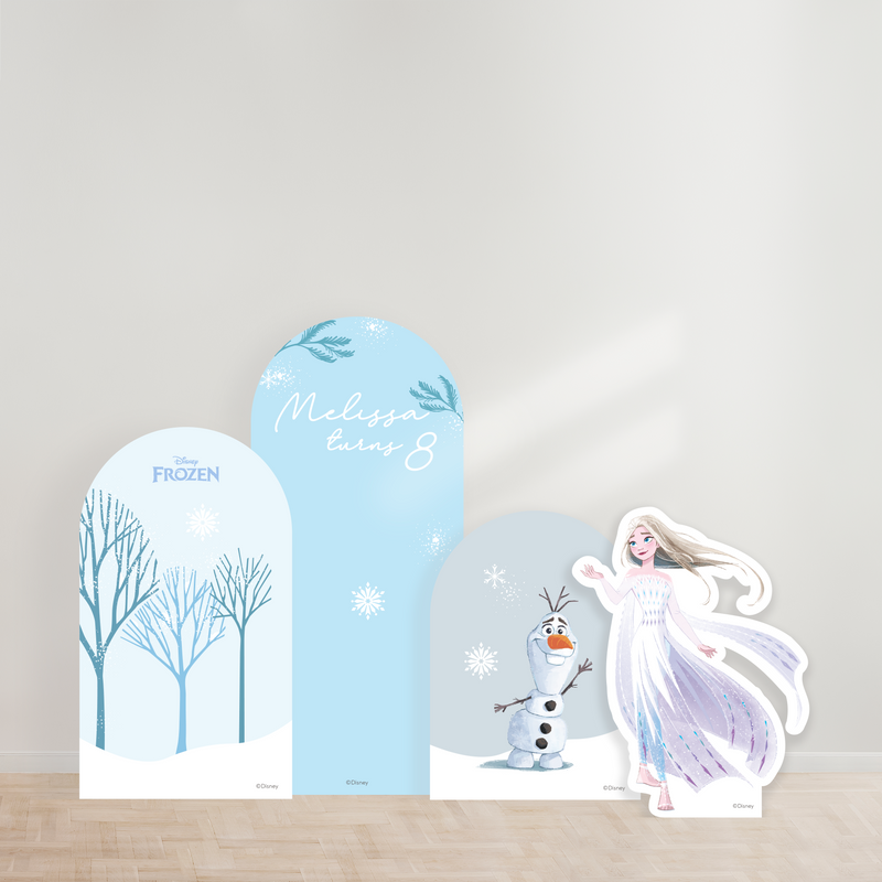 Disney Frozen Party Backdrop Boards