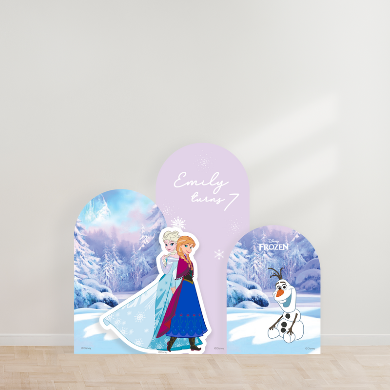 Disney Frozen Elsa & Anna Party Backdrop Boards