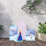 Disney Frozen Elsa & Anna Party Backdrop Boards
