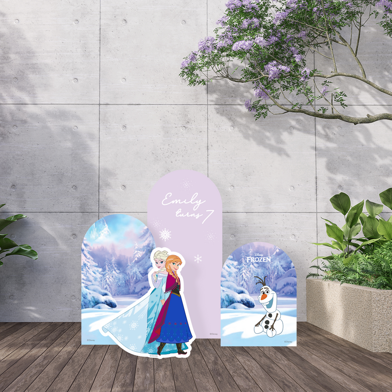 Disney Frozen Elsa & Anna Party Backdrop Boards