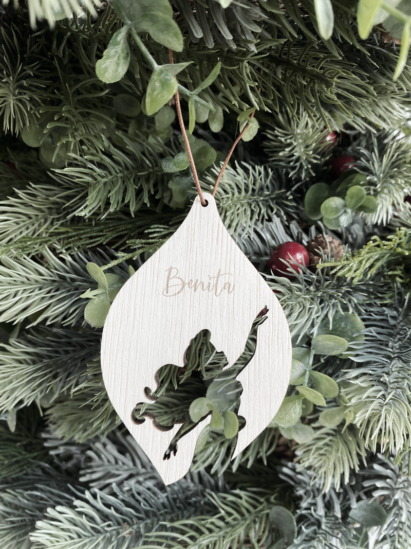 Disney Princess Silhouette Bulb Ornament