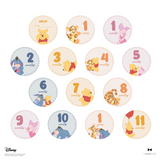 Baby Pooh & Friends Baby Milestone Stickers