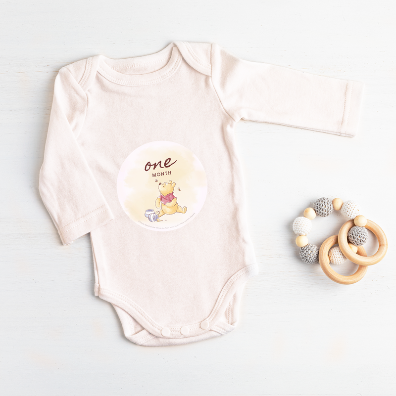 Winnie The Pooh Watercolour Baby Milestone Stickers