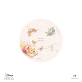 Winnie the Pooh Butterfly Lifecycle Educational Fabric Decal