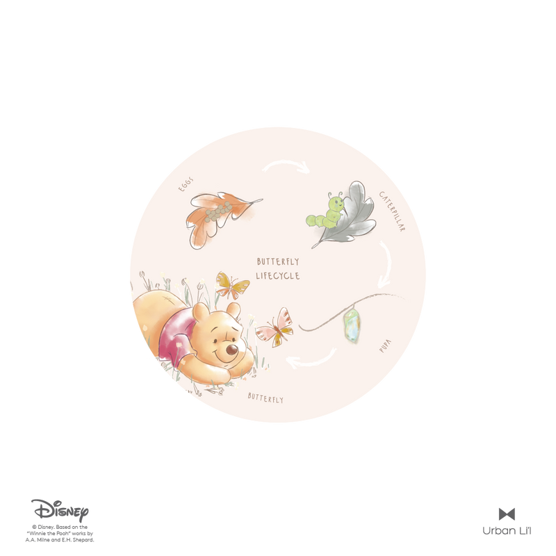 Winnie the Pooh Butterfly Lifecycle Educational Fabric Decal