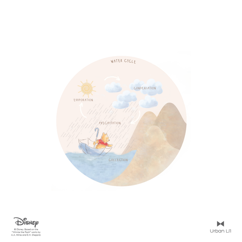 Winnie the Pooh Water Cycle Educational Fabric Decal
