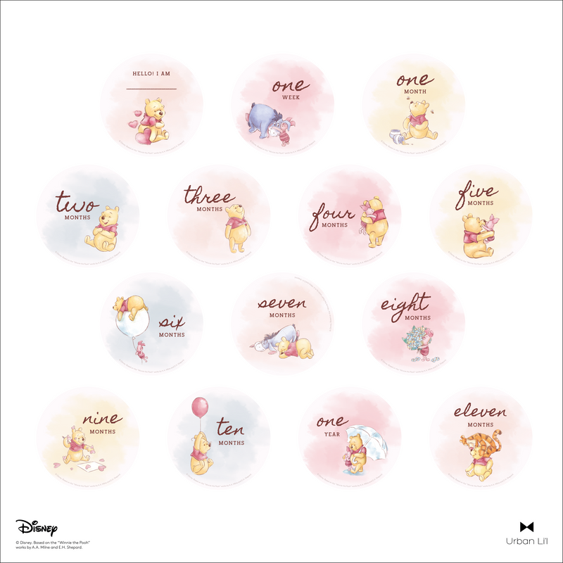 Winnie The Pooh Watercolour Baby Milestone Stickers