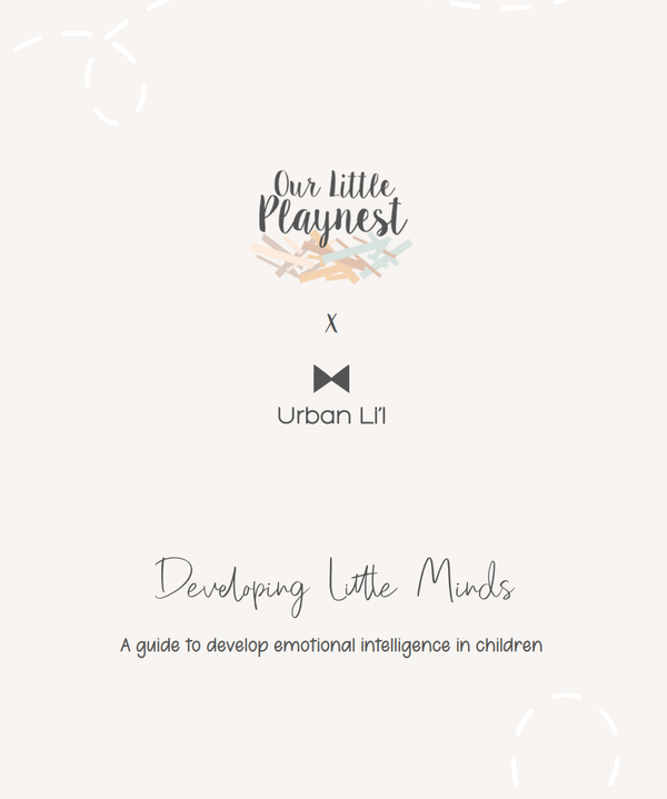 Developing Little Minds PDF Guide