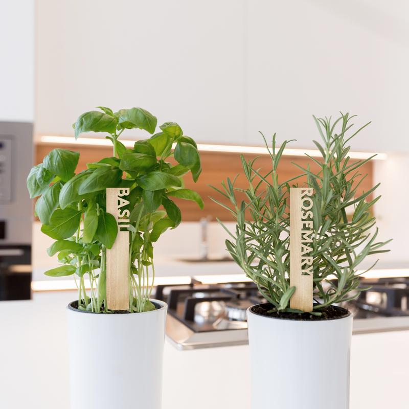 Cut-out Plant Markers -Set of 3