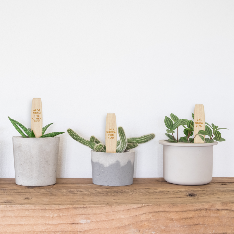 Engraved Plant Markers -Set of 3