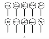 Double Hex Wedding Table Number Signage