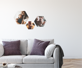 Hex Photo Fabric Decal