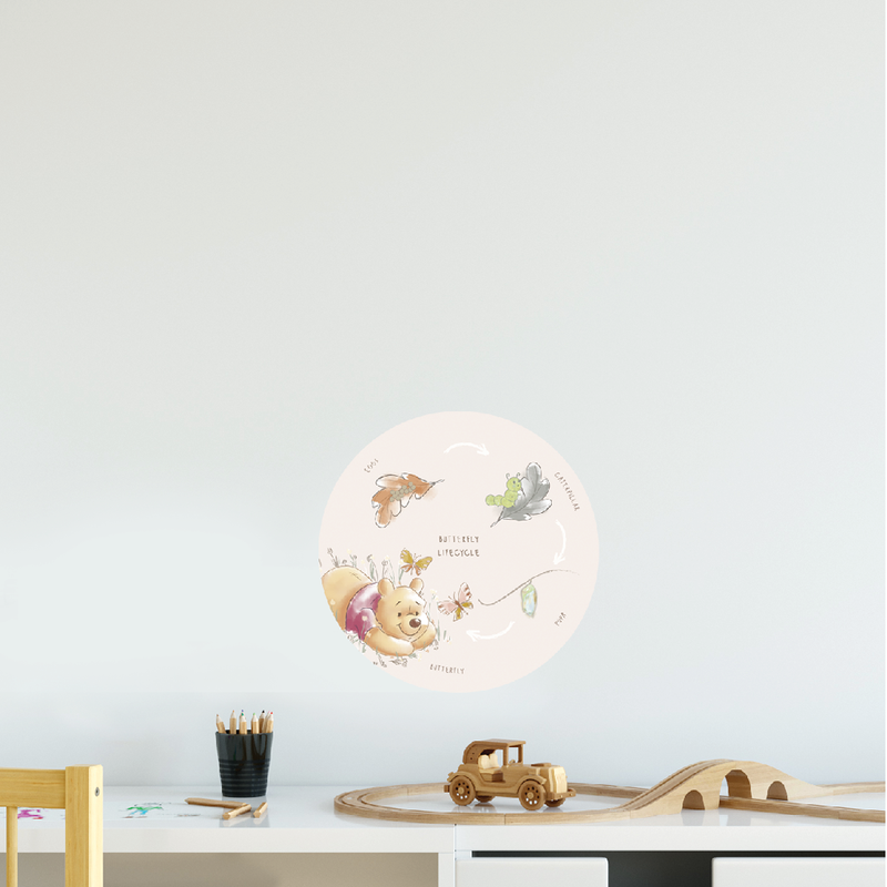 Winnie the Pooh Butterfly Lifecycle Educational Fabric Decal